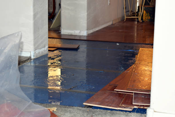 Professional Basement Water Removal technician working in Warren, OH